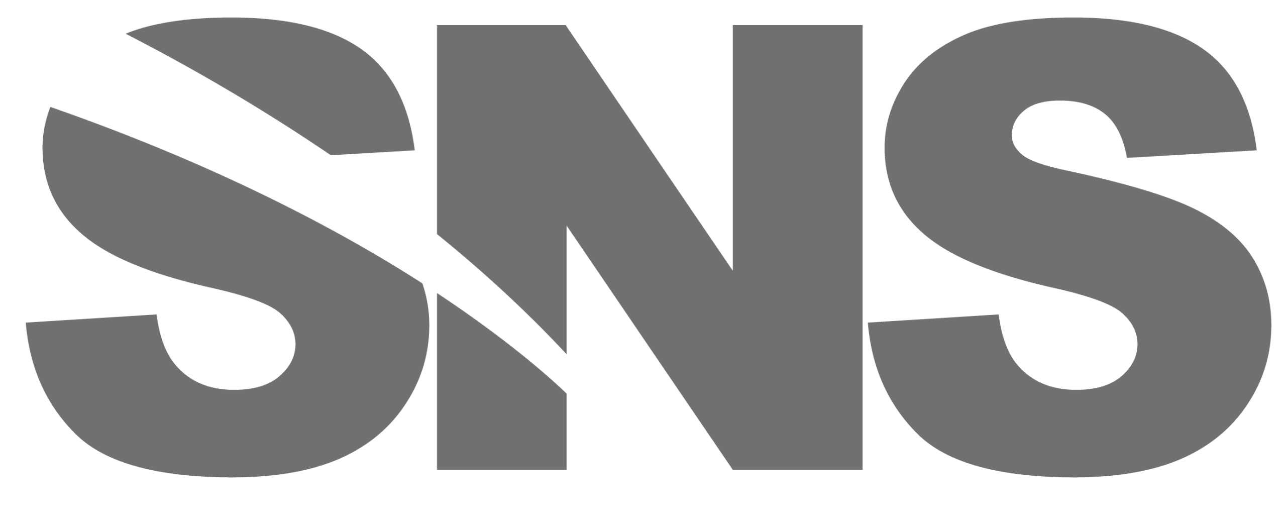 Logo Saxonia Network Systems GmbH
